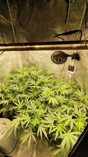 20221030_210350.jpg 20221030_210350.jpg