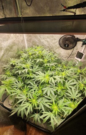 20221103_200639.jpg 20221103_200639.jpg