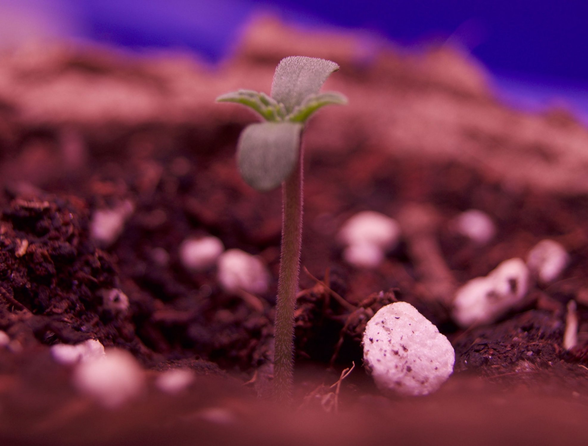 DSC04313.jpg DSC04313.jpg