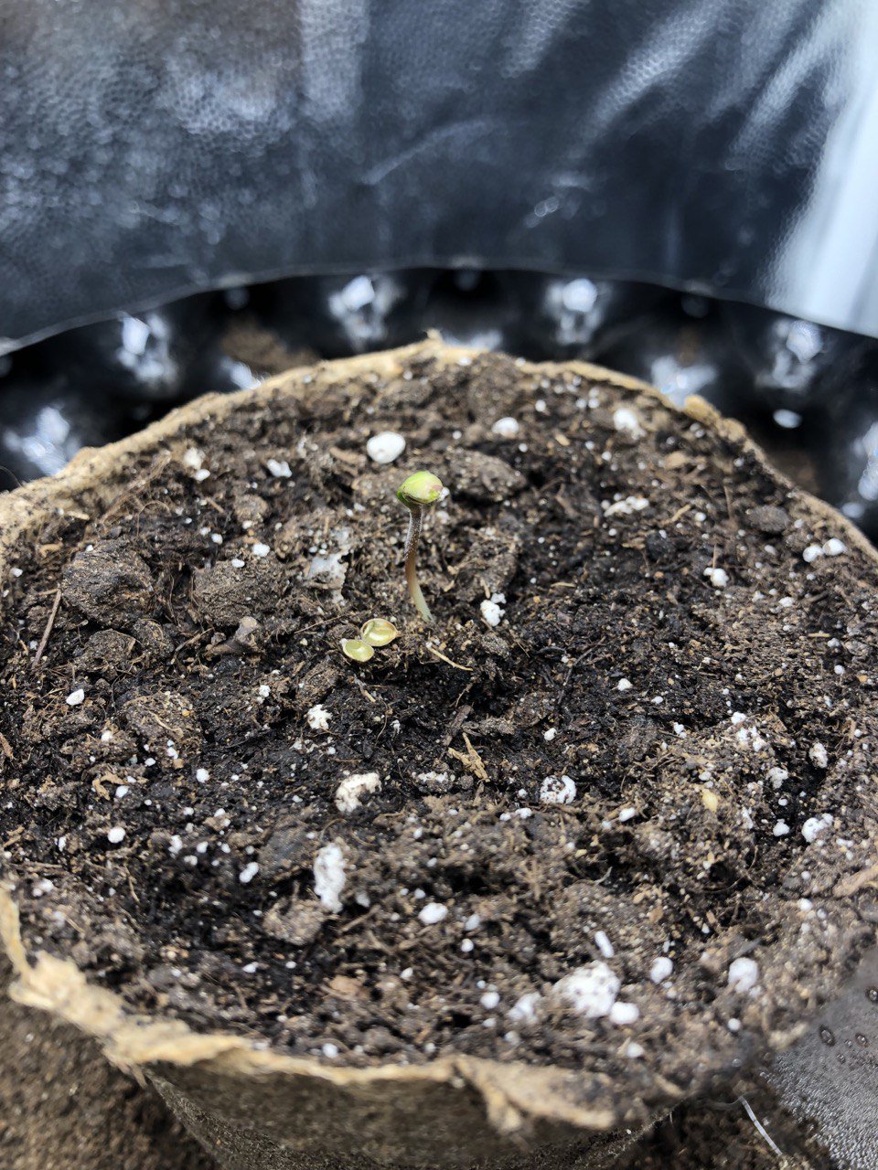 photo_2023-05-26_13-29-57.jpg photo_2023-05-26_13-29-57.jpg