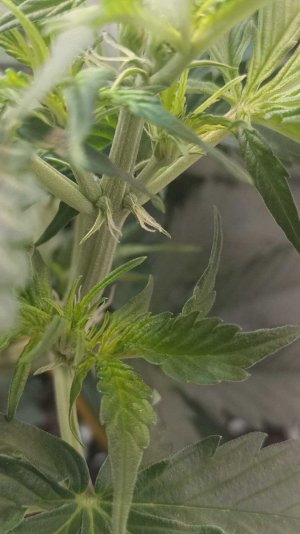 2023-6-13 7-0-14.jpg