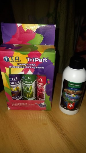 16881549675723071903396835694215.jpg 16881549675723071903396835694215.jpg