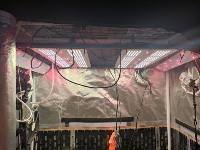 IMG_20230810_064704.jpg IMG_20230810_064704.jpg