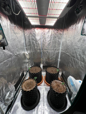 1692050171492.png 1692050171492.png