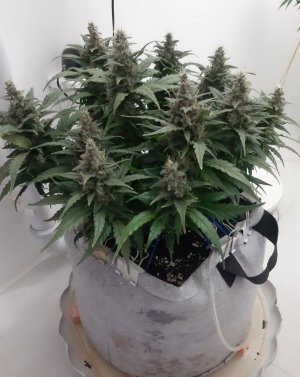 20230820_120147.jpg 20230820_120147.jpg