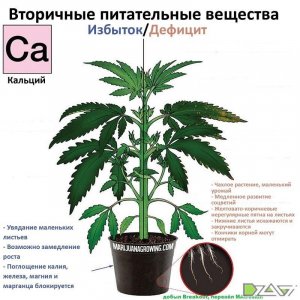 IMG_20230629_171451_261 (1).jpg