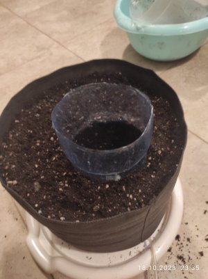 IMG_20231018_233556.jpg IMG_20231018_233556.jpg