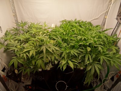 Image00038.jpg Image00038.jpg