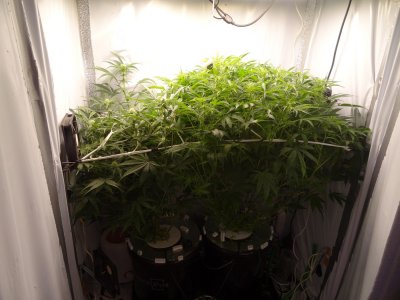 Image00050.jpg Image00050.jpg