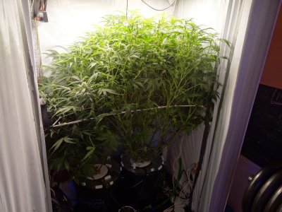 Image00079.jpg Image00079.jpg