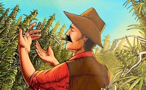 выращивание автоцветов