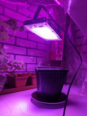 1000011803.jpg 1000011803.jpg