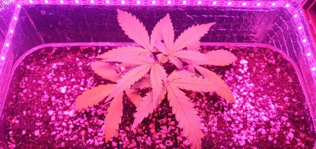 20240523_140548.jpg 20240523_140548.jpg