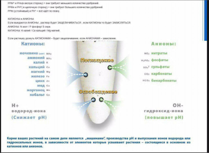 1716920177319.png 1716920177319.png