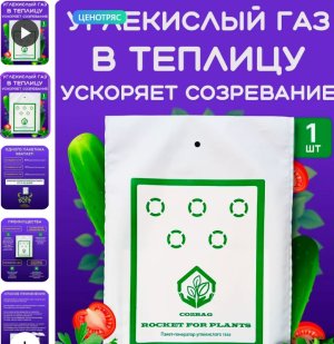 Снимок экрана_3-8-2024_2002_www.wildberries.ru.jpeg